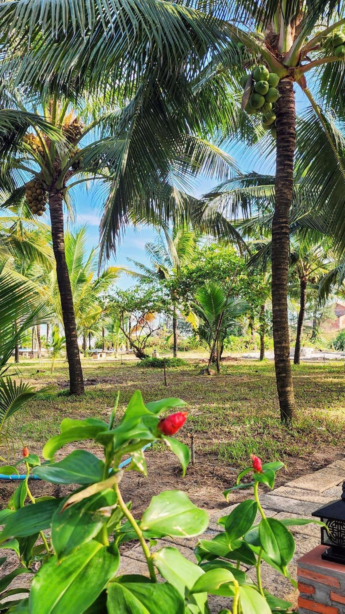Zen Resort - Villa Beach- Garden Xom Tram Экстерьер фото